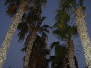 Pernera Beach Hotel bild 7