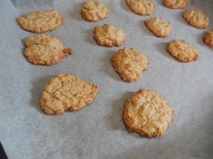 Krämfyllda havreflarn bild 2